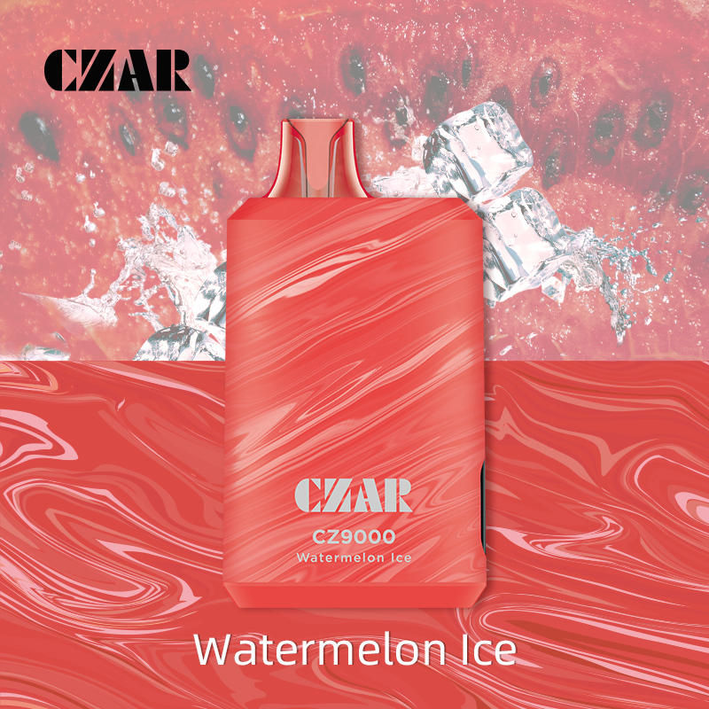 CZAR CZ9000 Puffs Disposable